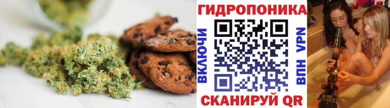 Canna-Cookies конопля ссылка на мегу как войти Новокубанск как найти закладки