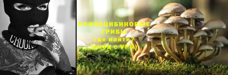 кракен ССЫЛКА  магазин  наркотиков  Новокубанск  Галлюциногенные грибы Magic Shrooms 