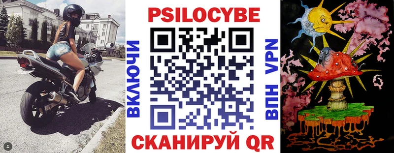 Галлюциногенные грибы Magic Shrooms  купить наркоту  Новокубанск 