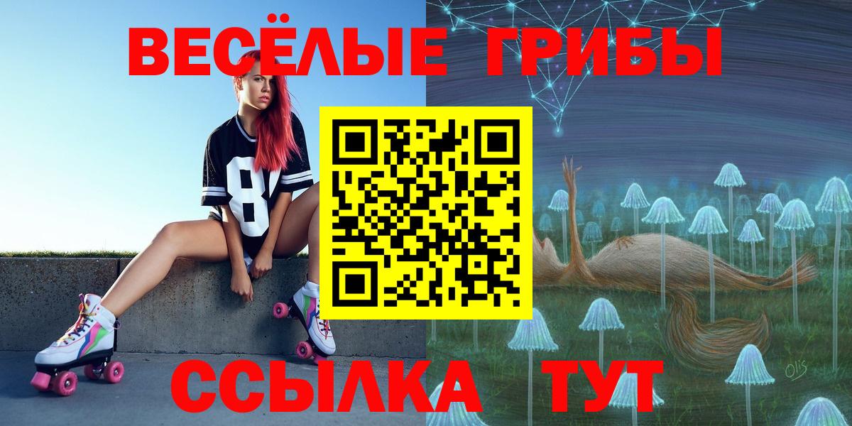 Новокубанск  Псилоцибиновые грибы Cubensis  Вход с VPN 