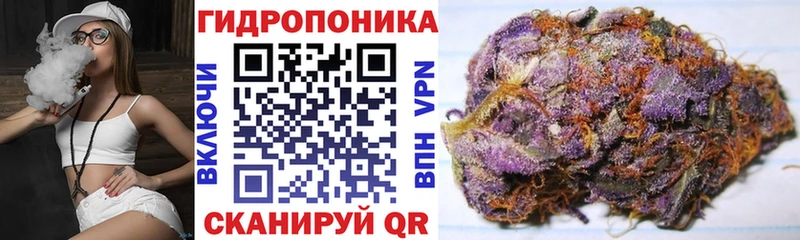MEGA онион  Новокубанск  Бошки Шишки марихуана 